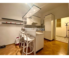 Аренда квартиры 1+1, 41м2, Прагa 3 - Žižkov
