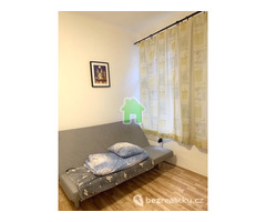 Аренда квартиры 1кк, Vinohrady